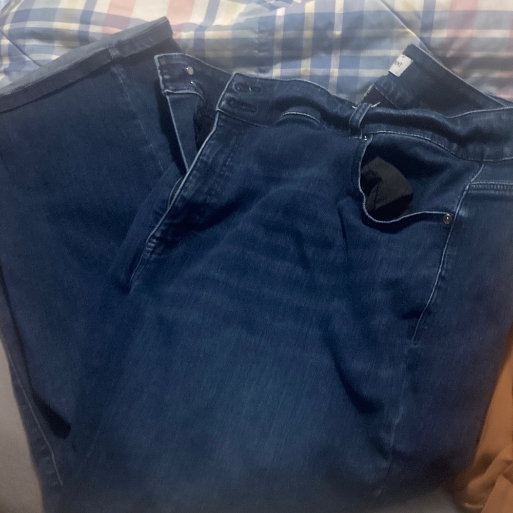 Lane Bryant woMen's Deep Blue Straight Jeans